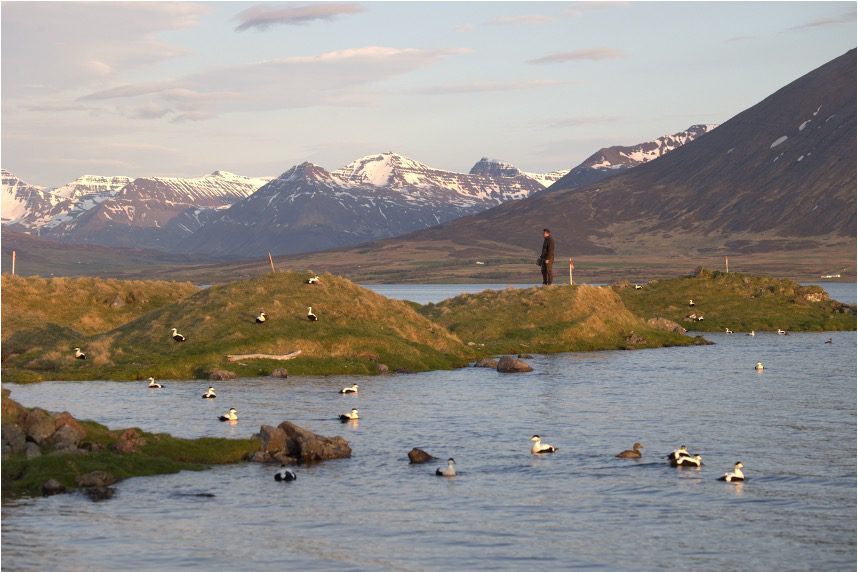 Binith Shah is creating the ultimate duvet with UMŌ Paris