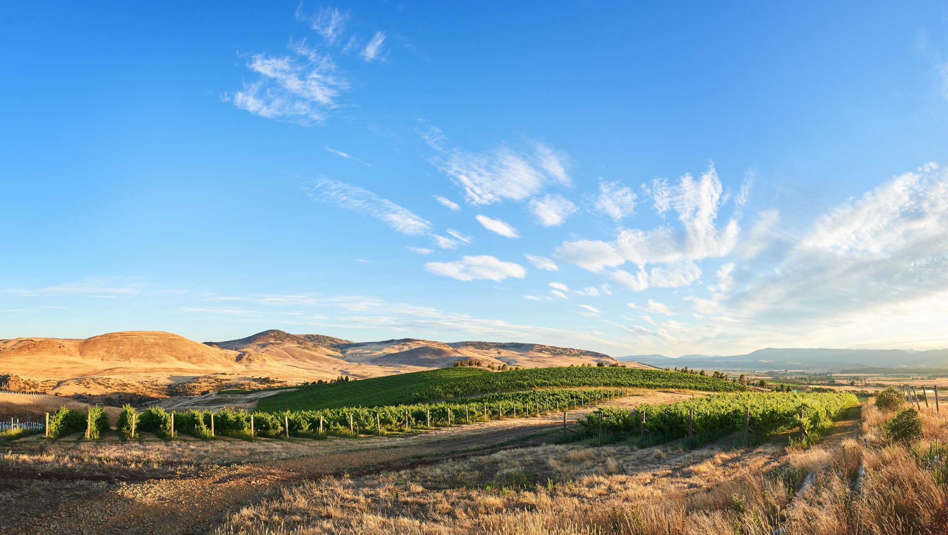 Inside Penfolds, the global luxury wine brand
