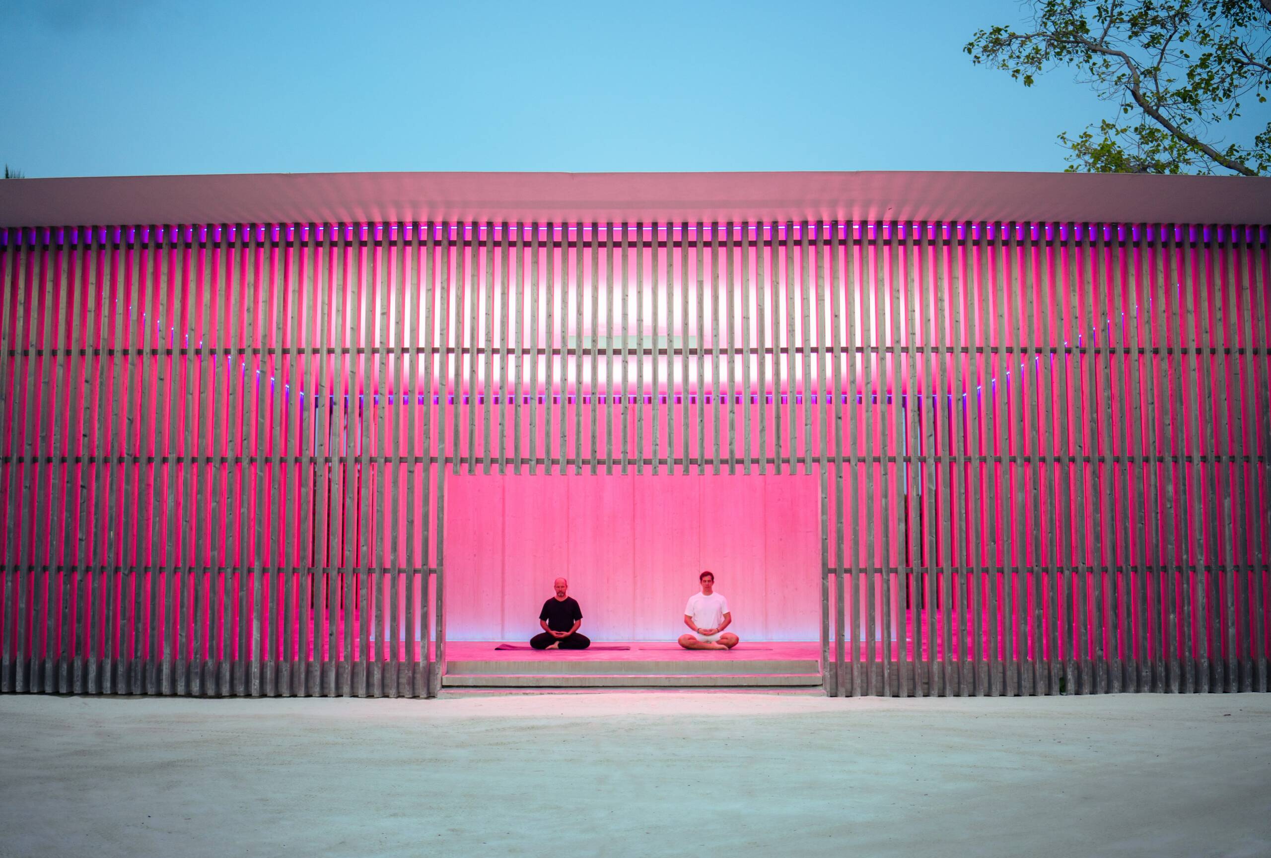 Art collector Andrea Morante talks on artist Sassan Behnam-Bakhtiar