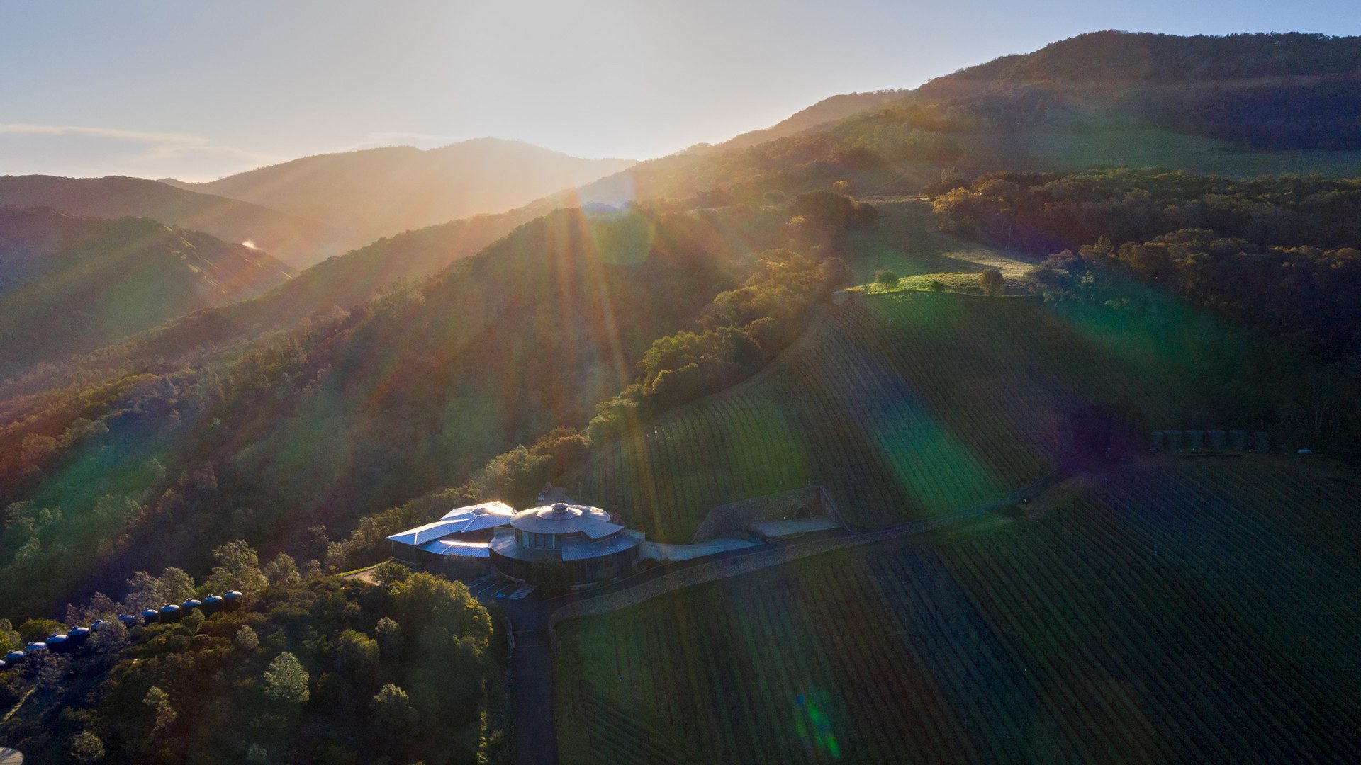 Bettina Bryant on California’s Bryant Estate